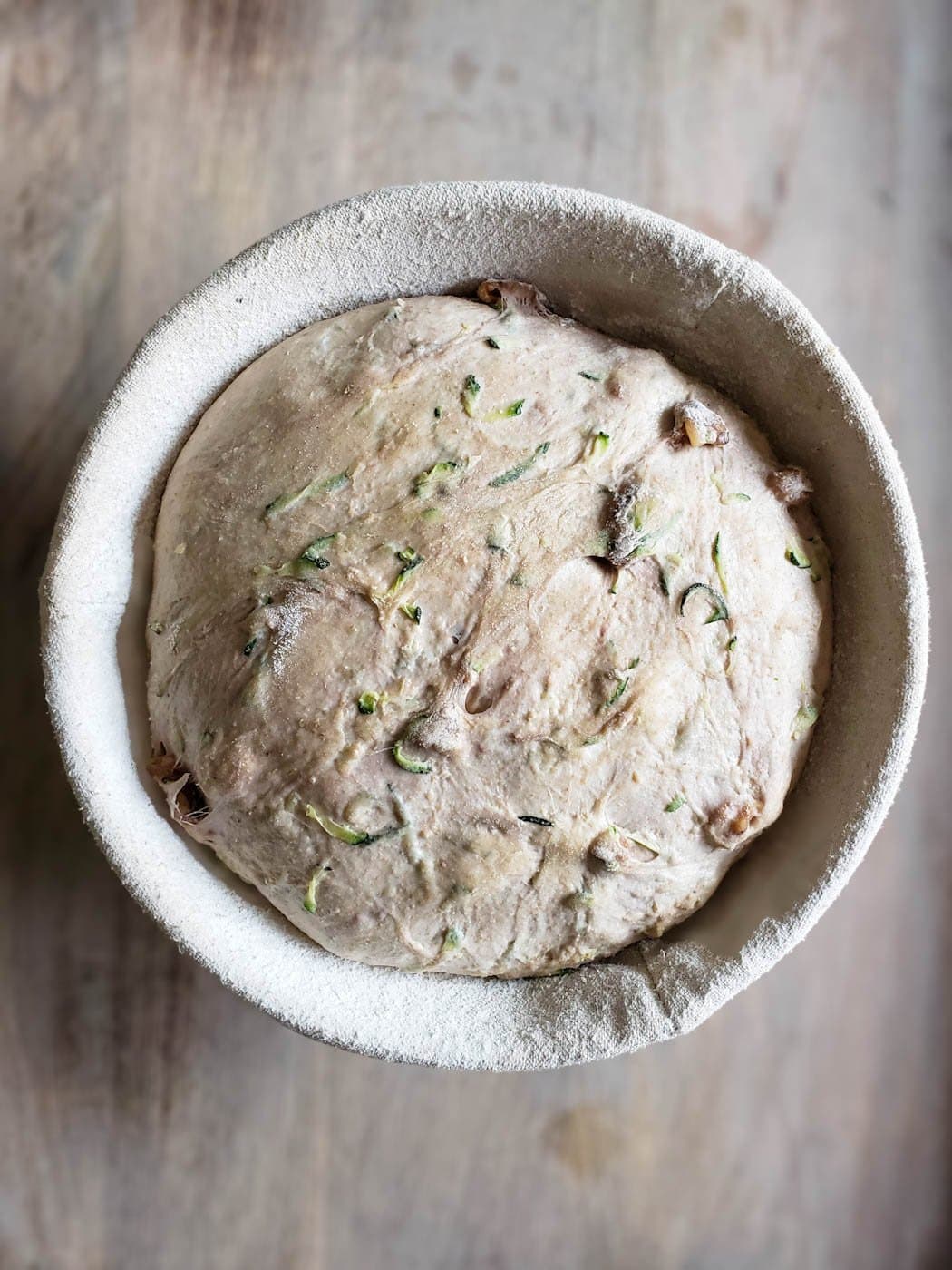 A close up of the raw sourdough zucchini bread dough ball in a floured proofing basket, nicely risen and with visible shreds of zucchini and walnut chunks mixed in the dough