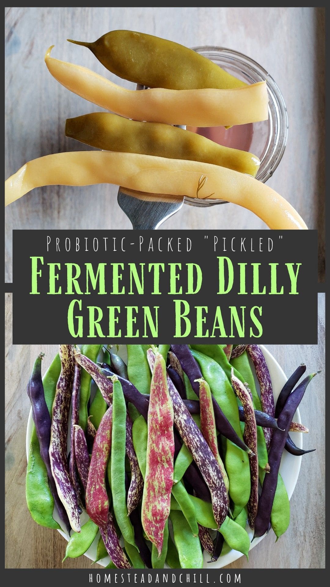 ProbioticPacked "Pickled" Fermented Dilly Green Beans Homestead and