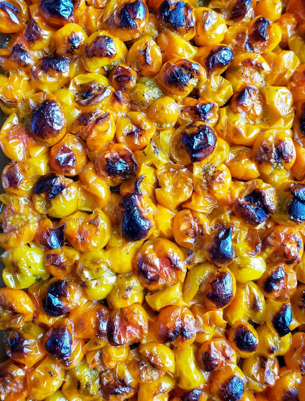 A close up of a baking pan full of sungold cherry tomatoes after they have been roasted, with slightly blackened and blistered skin contrasting the bright yellow fruit