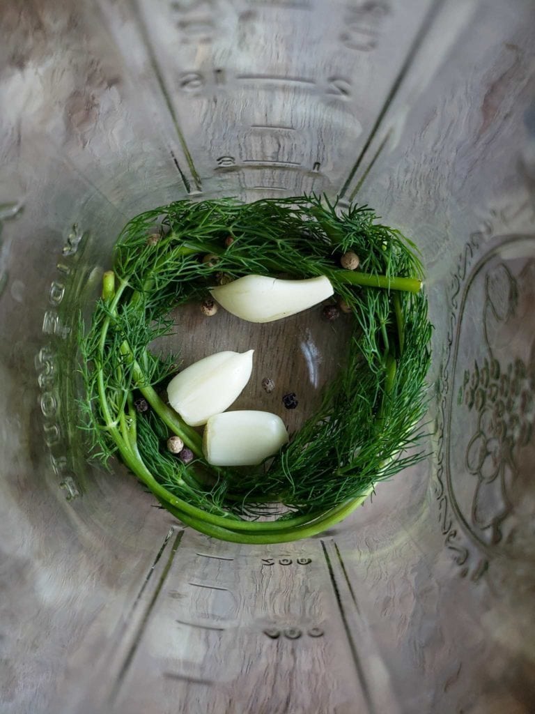 Pickled Fava Beans (Broad Beans) Quick & Easy Refrigerator Pickles