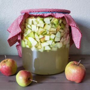Homemade Apple Cider Vinegar Instructions