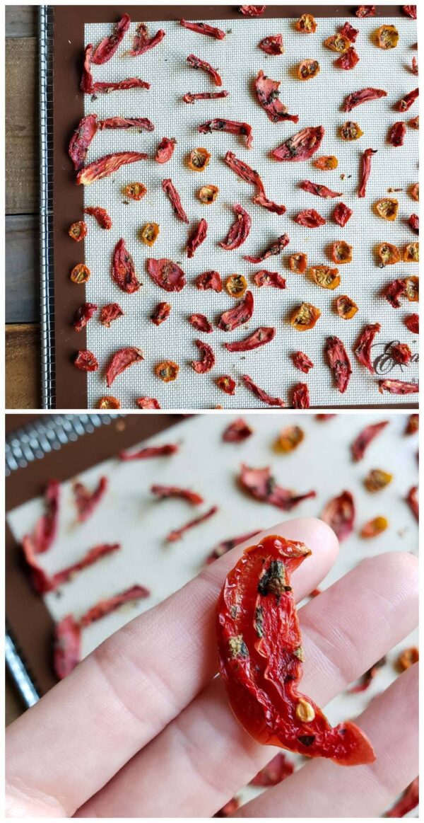 Preserving Tomatoes How to Make Herb SunDried Tomatoes in 5 Easy