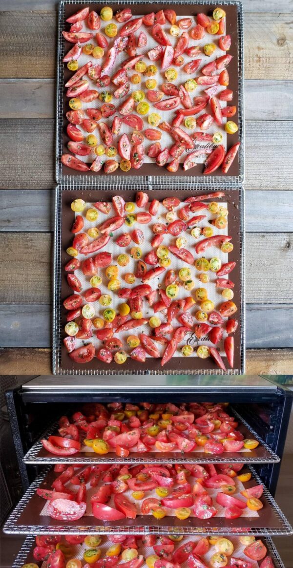 Preserving Tomatoes How to Make Herb SunDried Tomatoes in 5 Easy