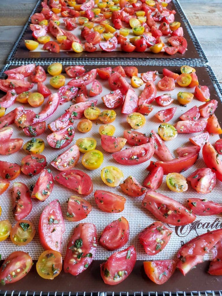 Preserving Tomatoes How to Make Herb SunDried Tomatoes in 5 Easy Steps Homestead and Chill