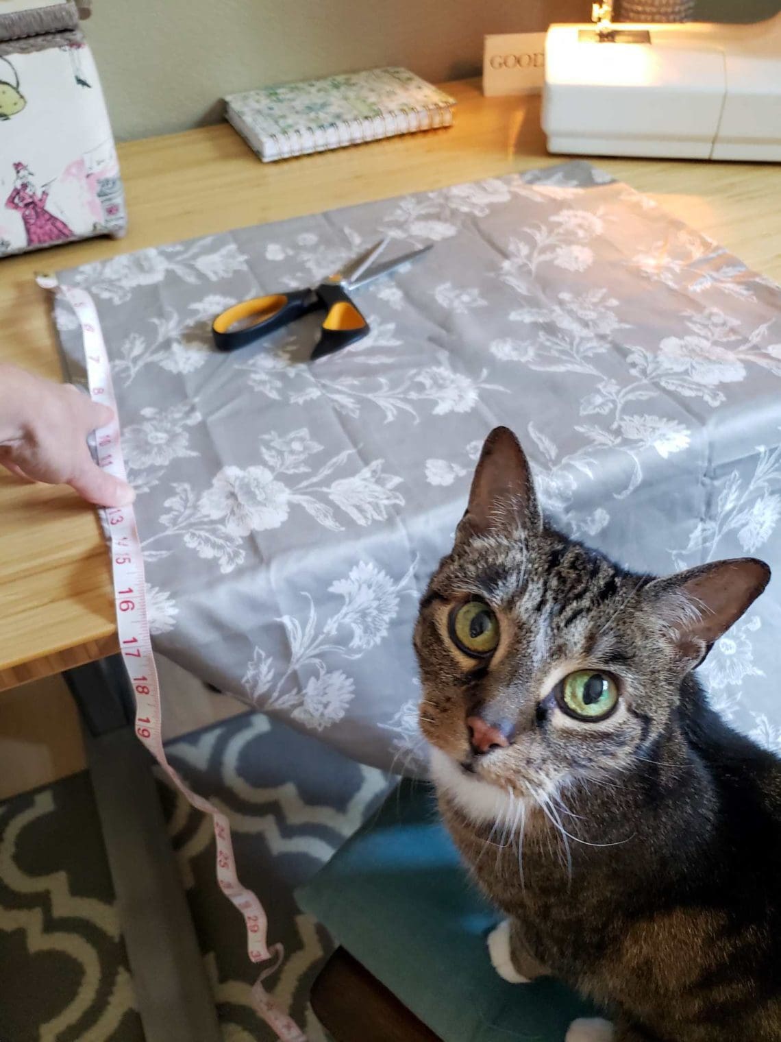 How to Make a Homemade Rice Heating Pad (or Cold Pack) in 6 Easy Steps