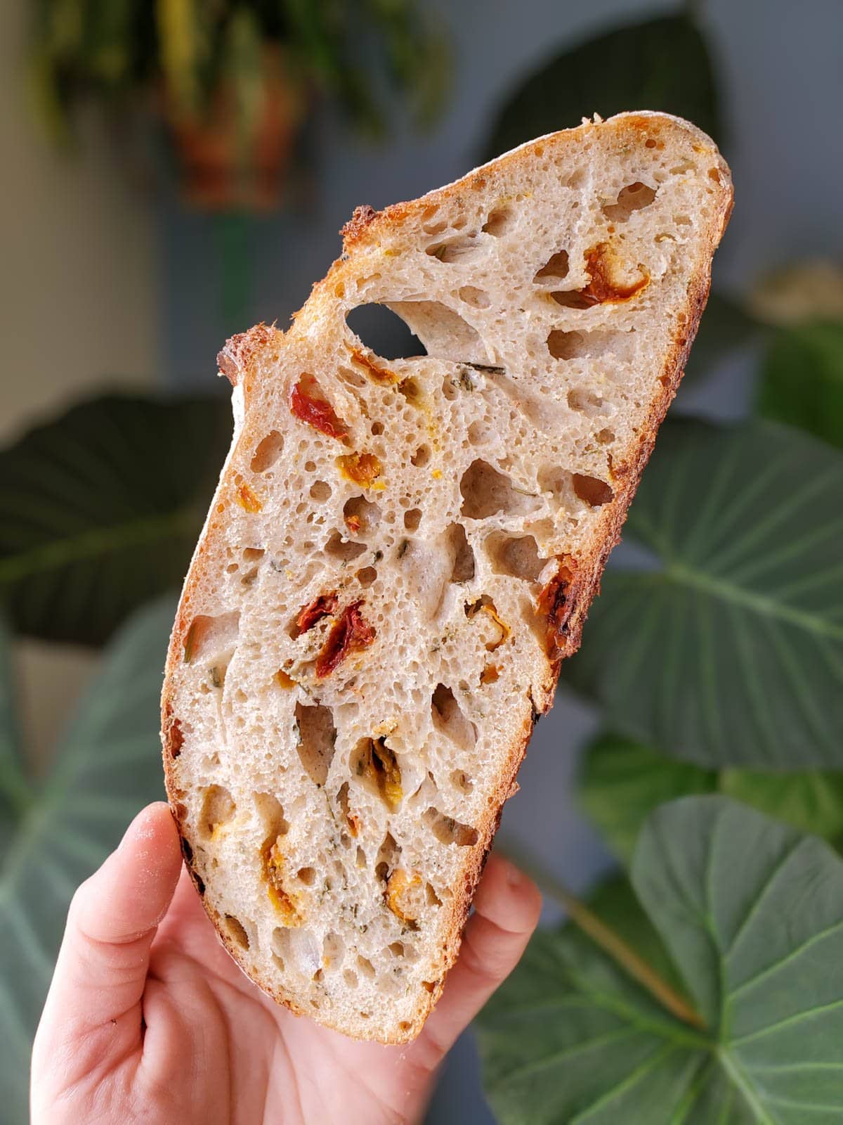 A hand holds a slice of sourdough bread with sun-dried tomatoes baked into the bread.
