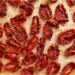 Sun-dried tomatoes are scattered about on a dehydrator rack.