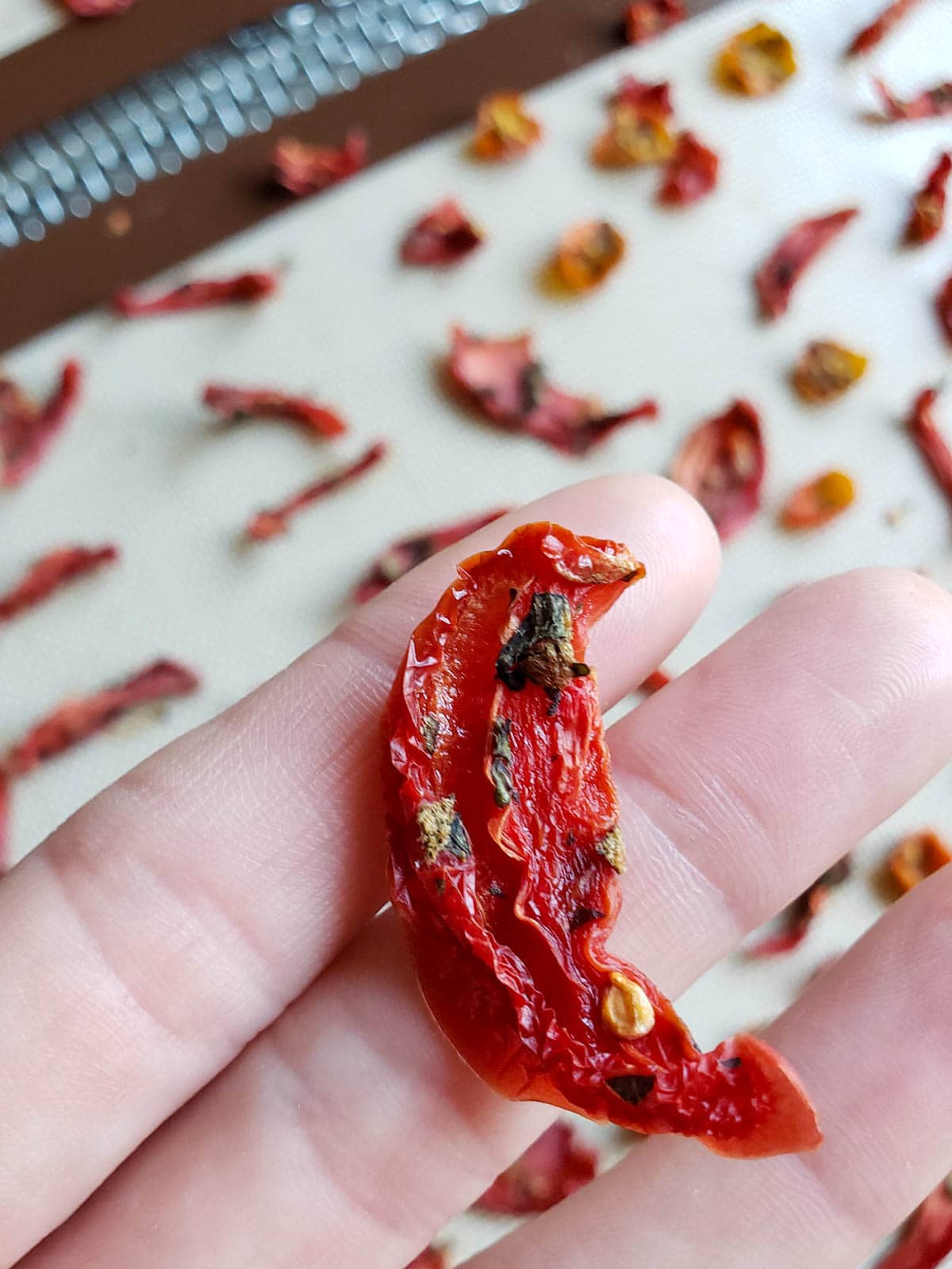 A close up of one of the sun dried tomato pieces someone is holding it on their index and middle finger, the background shows the other dried tomatoes still on the drying rack.