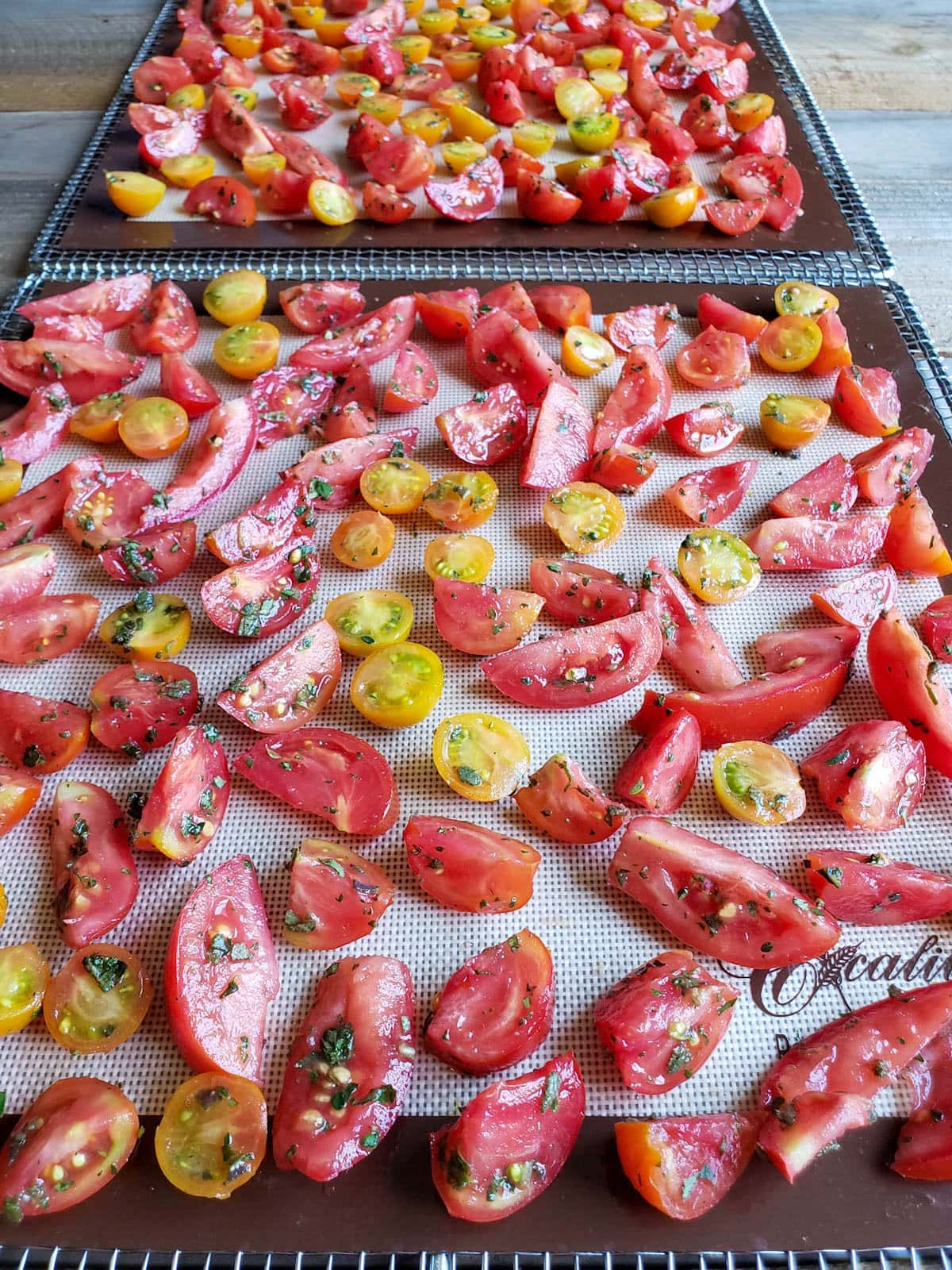 A close up of two dehydrator trays full of raw cut tomatoes that have been tossed in fresh herbs spread evenly across the trays, ready to dry.