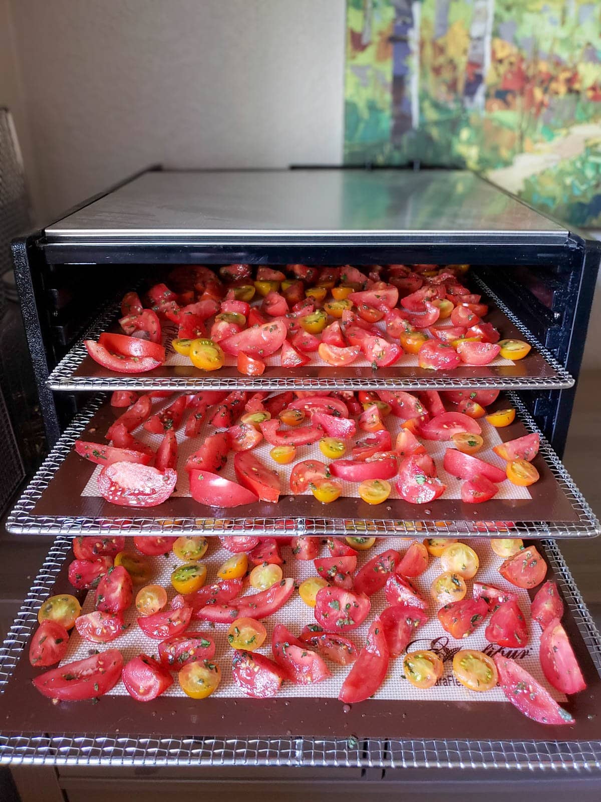 Three drying racks placed in an Excalibur dehydrator full of the cut tomatoes positioned in a stair step manner to show off the soon to be dried tomatoes.