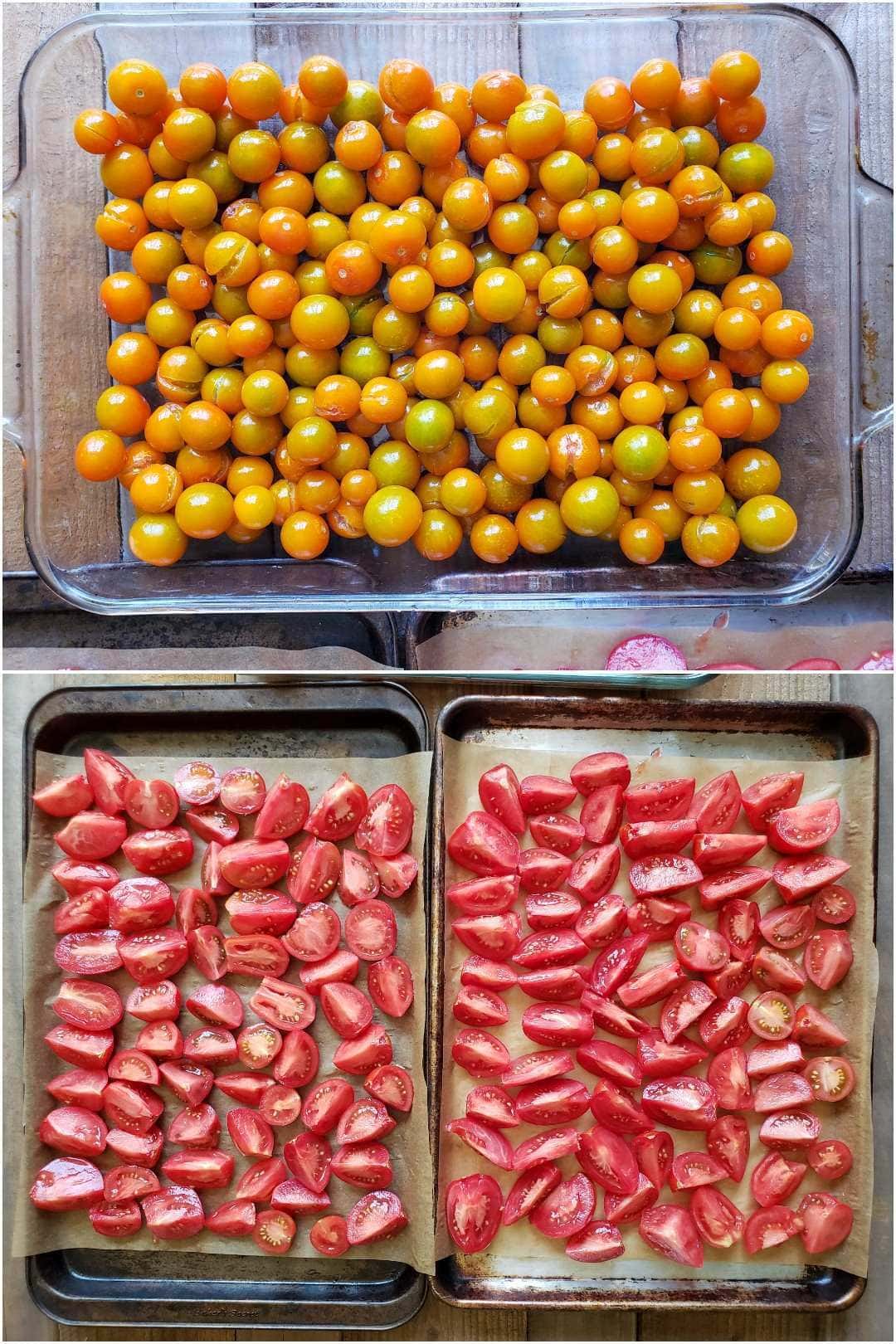 A two way image collage, the first image shows the orange Sungold tomatoes in a large glass baking dish, there are quite a few tomatoes so they are two to three tomatoes deep in certain places.
The second image shows the various red tomatoes cut into wedges and halves laid out single layered on two baking sheets lined with parchment paper.