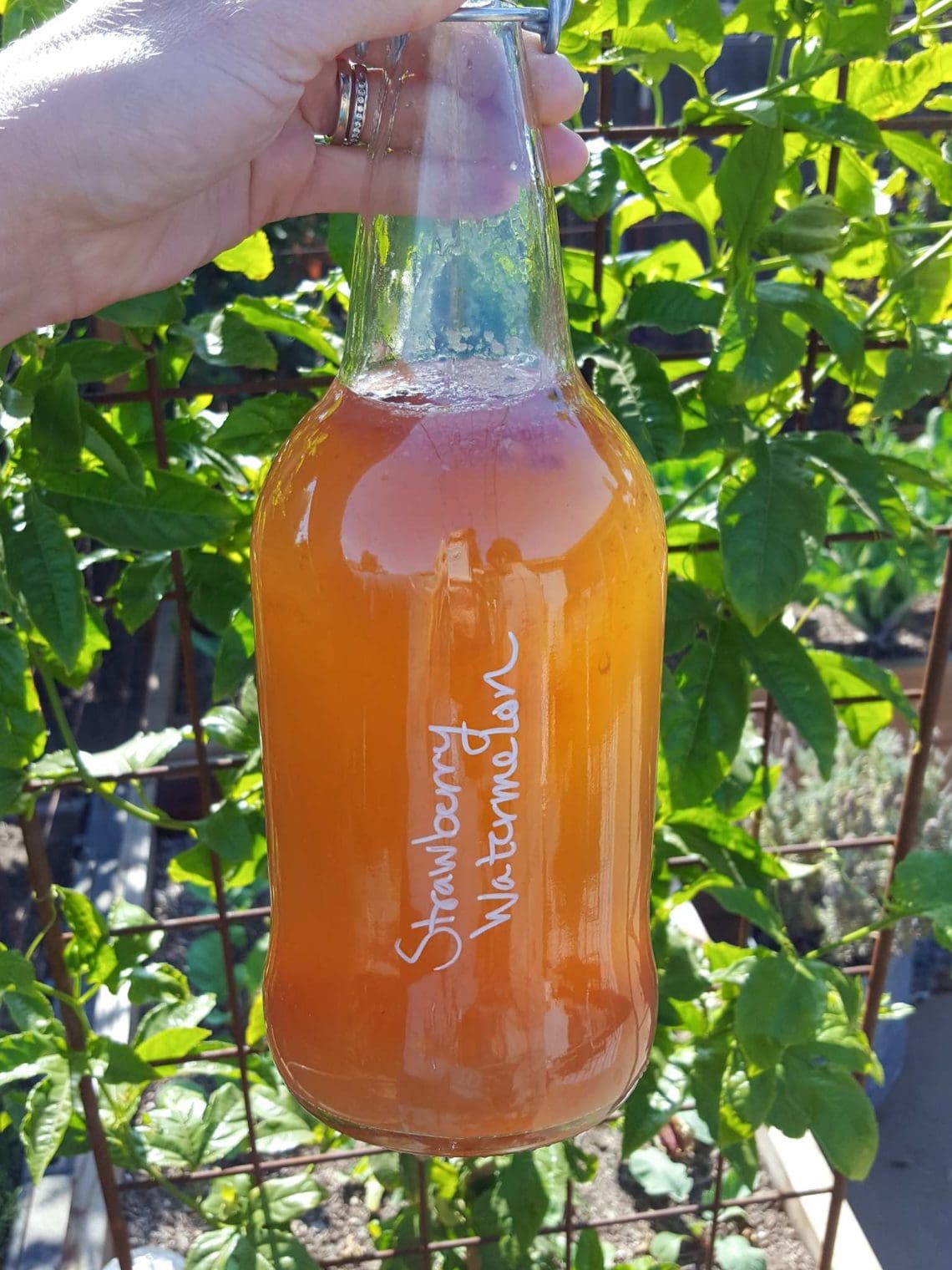 The 18 Best Seasonal Homemade Kombucha Flavors for Second Ferment