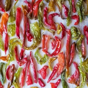 A variety of dried chili peppers arranged on a stainless steel dehydrator rack.