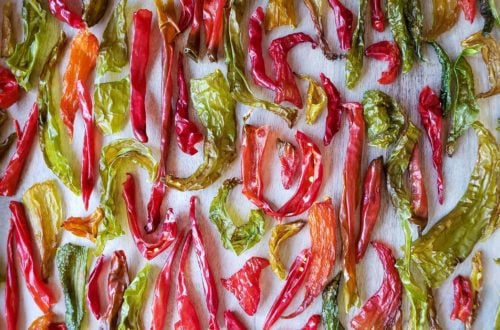 A variety of dried chili peppers arranged on a stainless steel dehydrator rack.