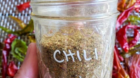 Easy Homemade Chili Powder (Oven or Dehydrator)
