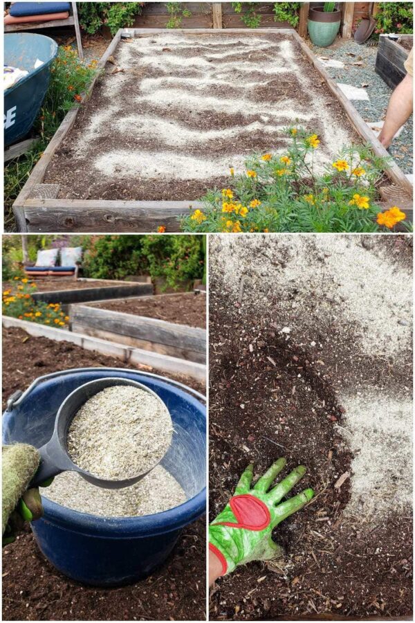 How to Amend and Fertilize Garden Bed Soil Between Seasons Homestead