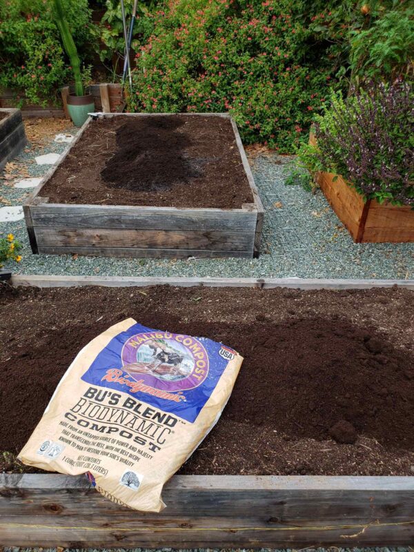How to Amend and Fertilize Garden Bed Soil Between Seasons Homestead