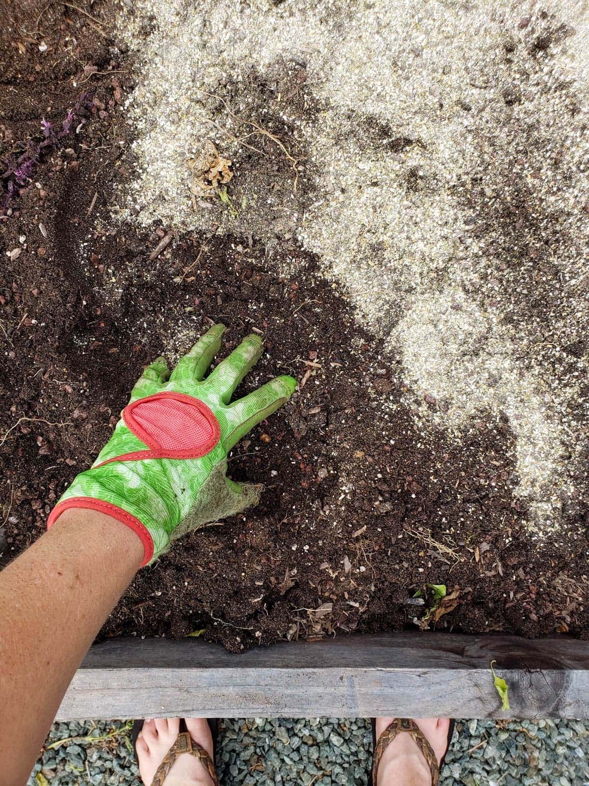 A hand is being used to scratch in fertilizer on the top of garden soil to amend the raised bed. 