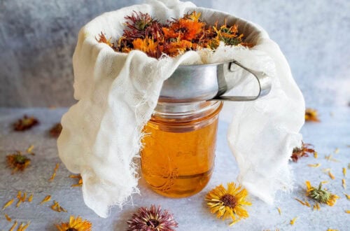 A pint mason jar is fully of calendula oil, a metal canning funnel sits on top of the jar which is lined with cheesecloth that contains dried calendula flowers.