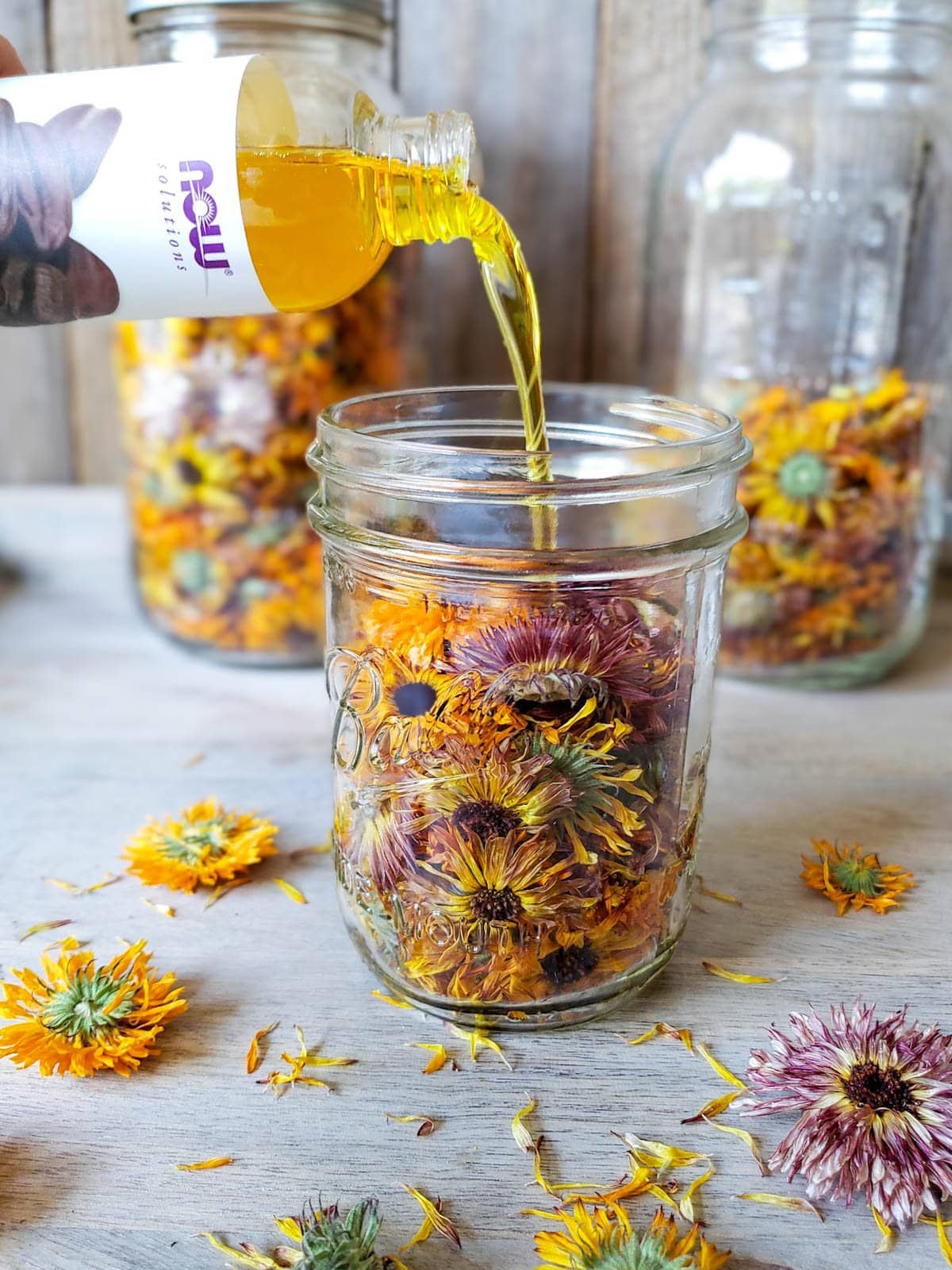 A pint jar full of dried calendula flowers, a stream of oil is being poured into the jar of flowers. Many dried flowers are scattered around the jar with two larger glass jar beyond full of more dried flowers.