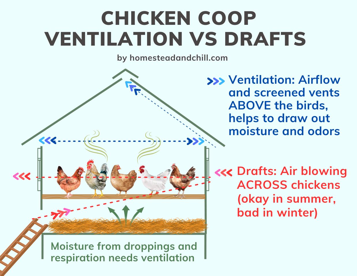 A diagram labelled "chicken coop ventilation vs drafts" - with a drawing of a basic chicken coop showings drafts blowing straight across the chickens on a roost from window-to-window, while ventilation is shown with air rising and escaping from vents in the coop ceiling well above the chickens heads