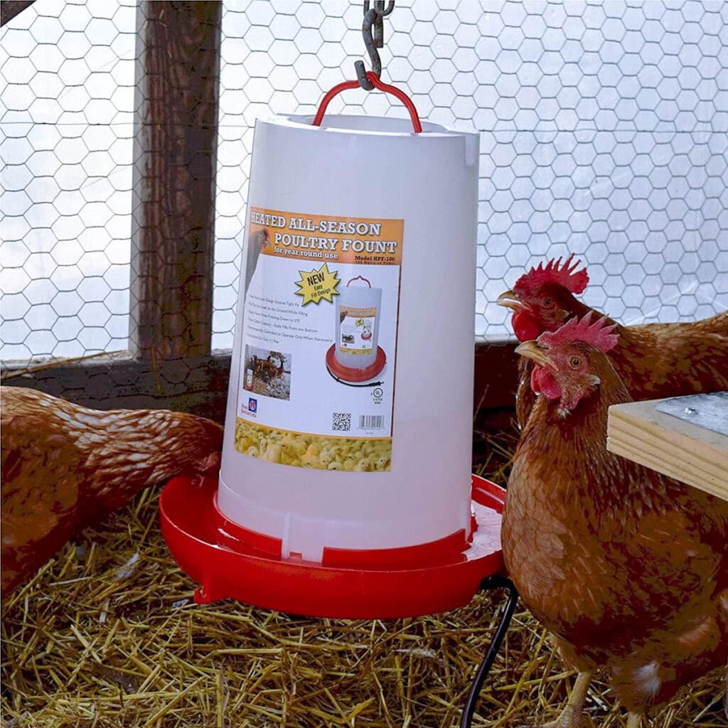 Three hens are standing around a hanging, heated poultry waterer. Chicken wire is visible amongst the chicken run frame.