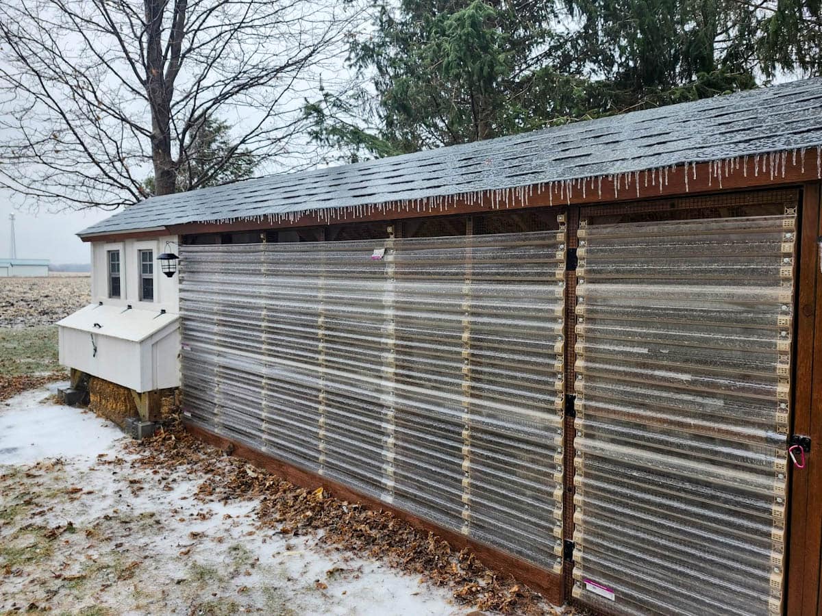 A very nice, long wooden chicken run that has been covered with clear plastic corrugated sheets on the side walls to keep chickens warm during winter, icicles hang from the roof and there is snow on the ground around it.