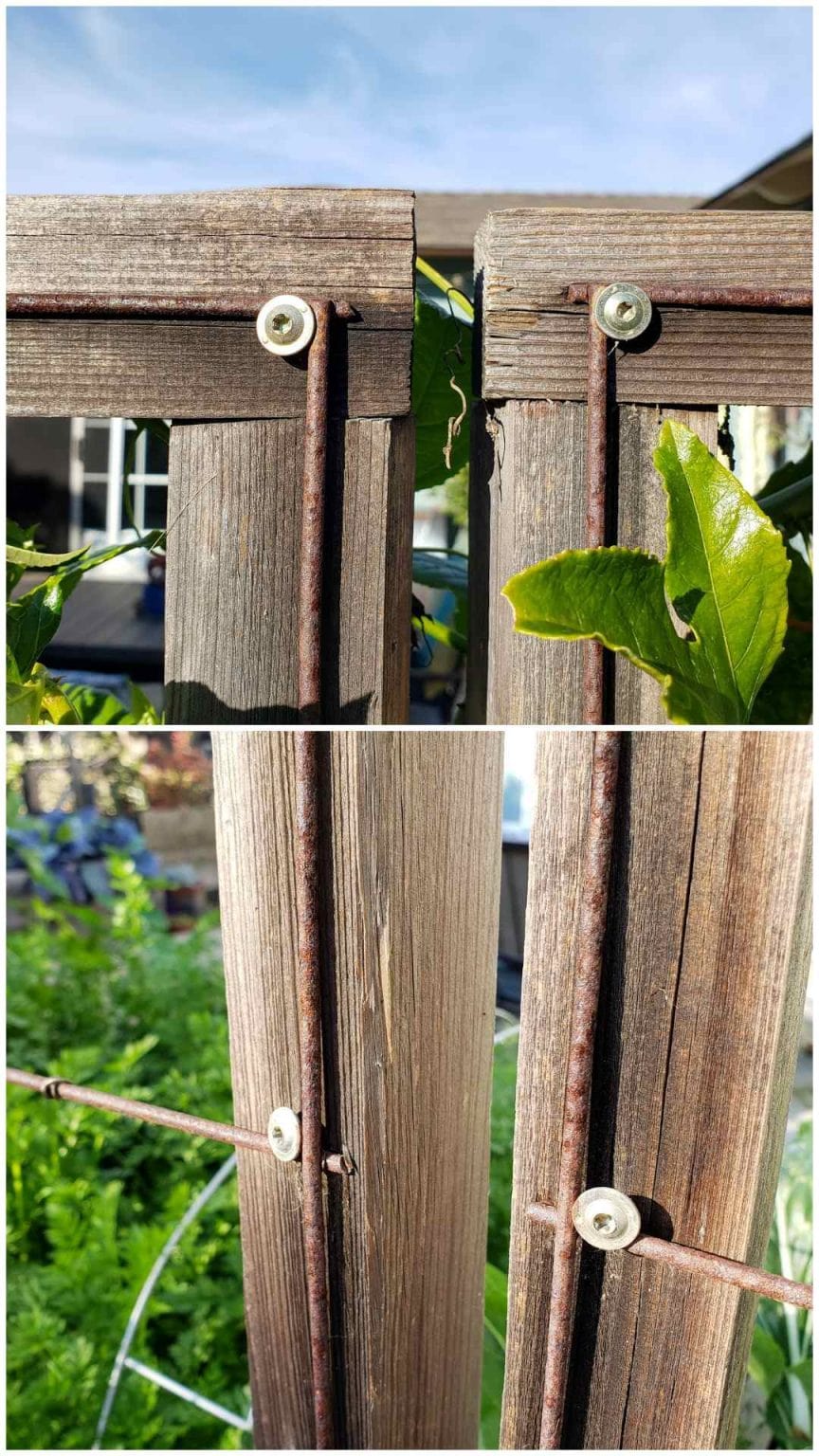 How to Build a Trellis: Inexpensive & Easy Designs ~ Homestead and Chill