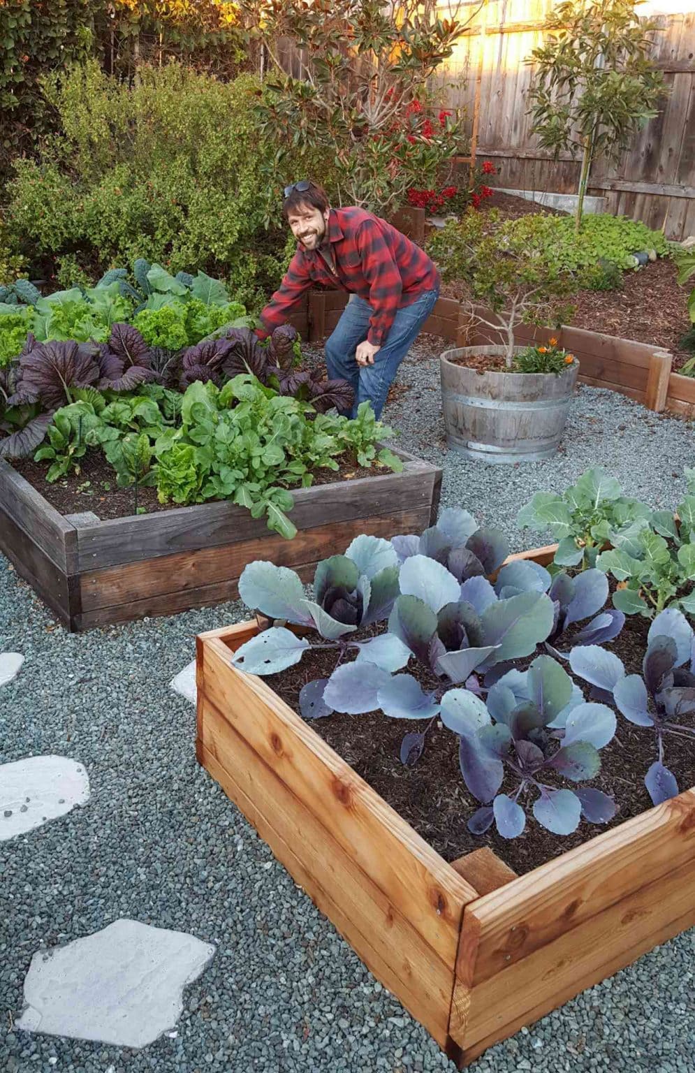Raised Garden Beds vs. InGround Beds Pros & Cons Homestead and Chill