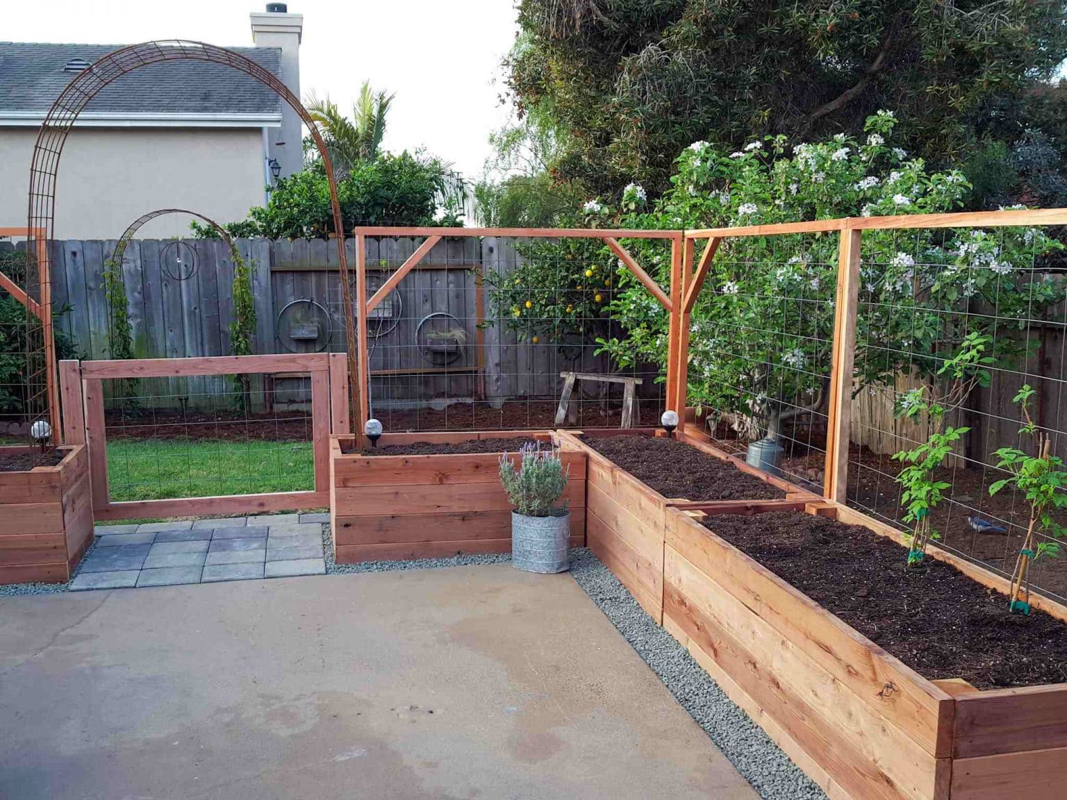 Raised Garden Beds vs. InGround Beds Pros & Cons Homestead and Chill