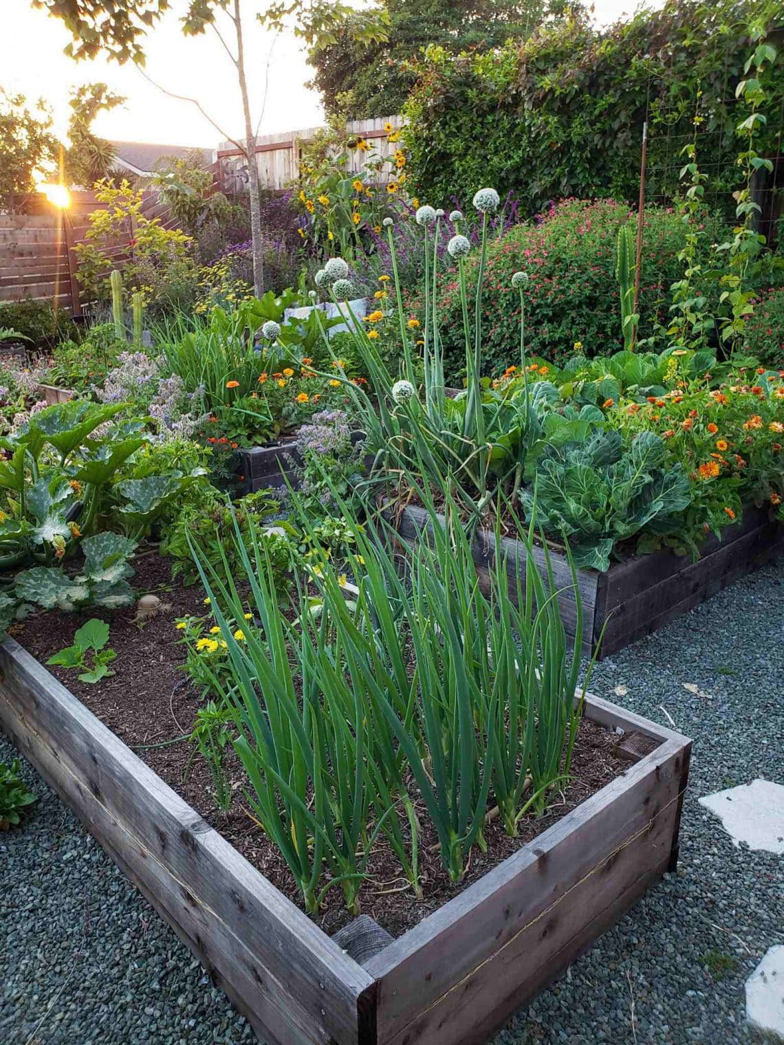 Composting 101 What, Why & How to Compost at Home Homestead and Chill