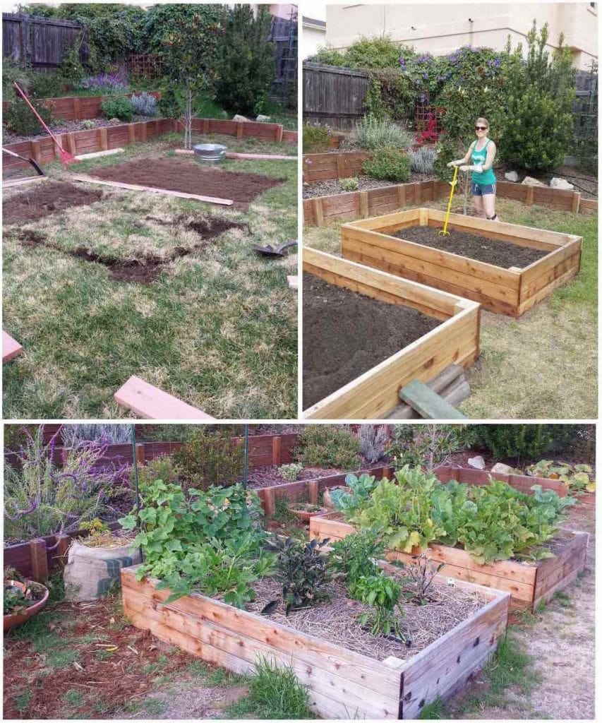 How to Kill or Remove Grass (& Grow Food Not Lawns!) Homestead and Chill