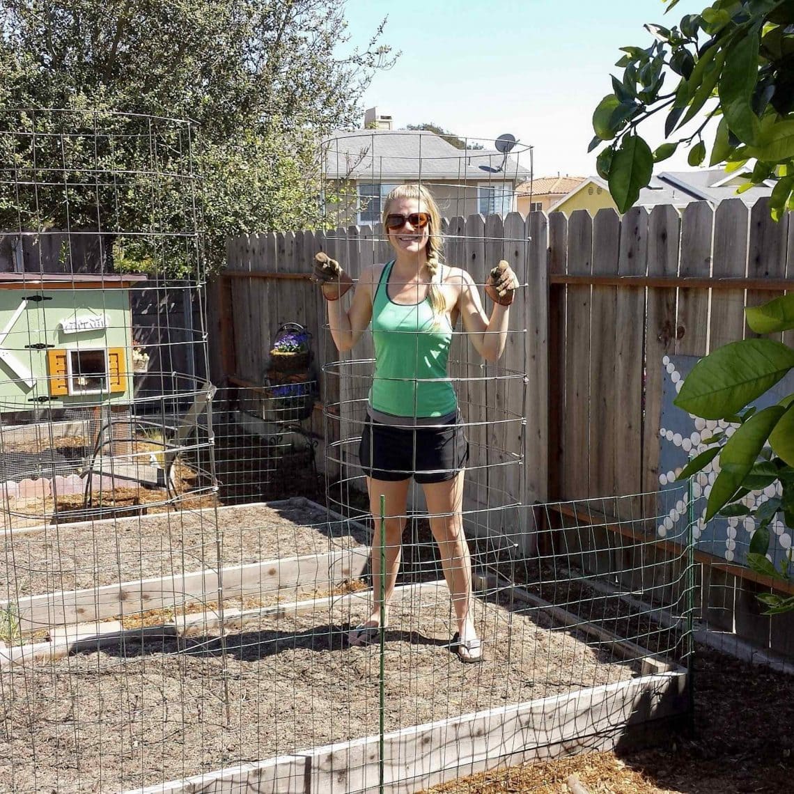 How to Make a DIY Tomato Cage Sturdy, Easy & Cheap! LaptrinhX / News