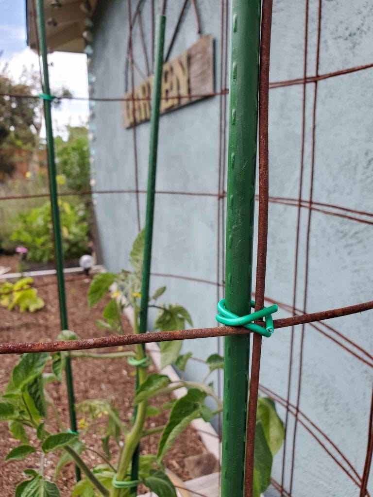How to Make a DIY Tomato Cage Sturdy, Easy & Cheap! Homestead and Chill