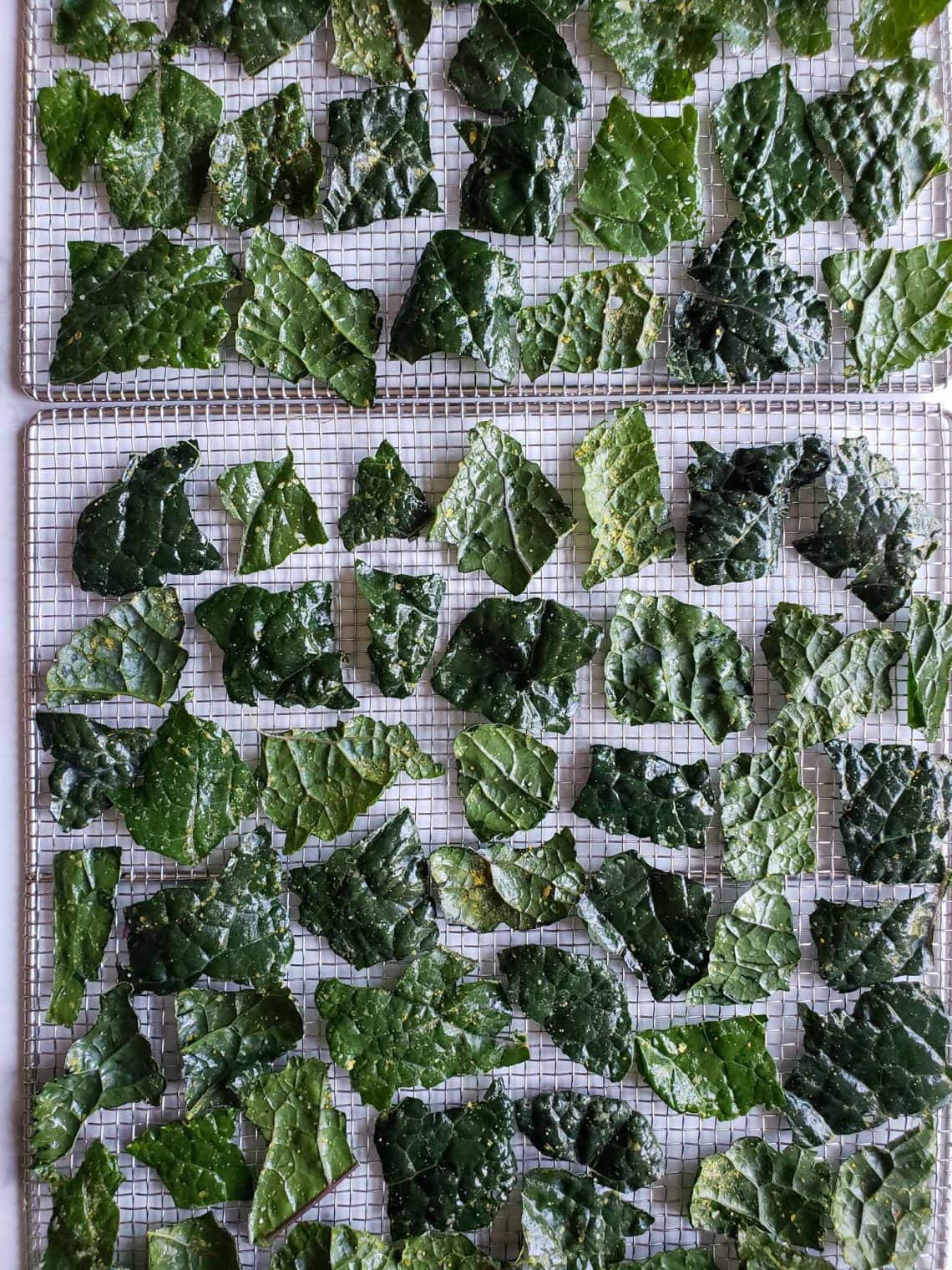 Homemade Seasoned Crispy Kale Chips Recipe (Food Dehydrator or Oven