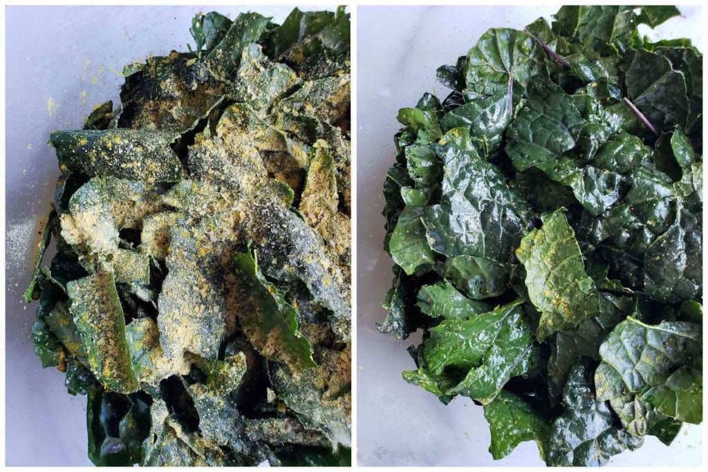 Homemade Seasoned Crispy Kale Chips Recipe (Food Dehydrator or OvenBaked) Homestead and Chill