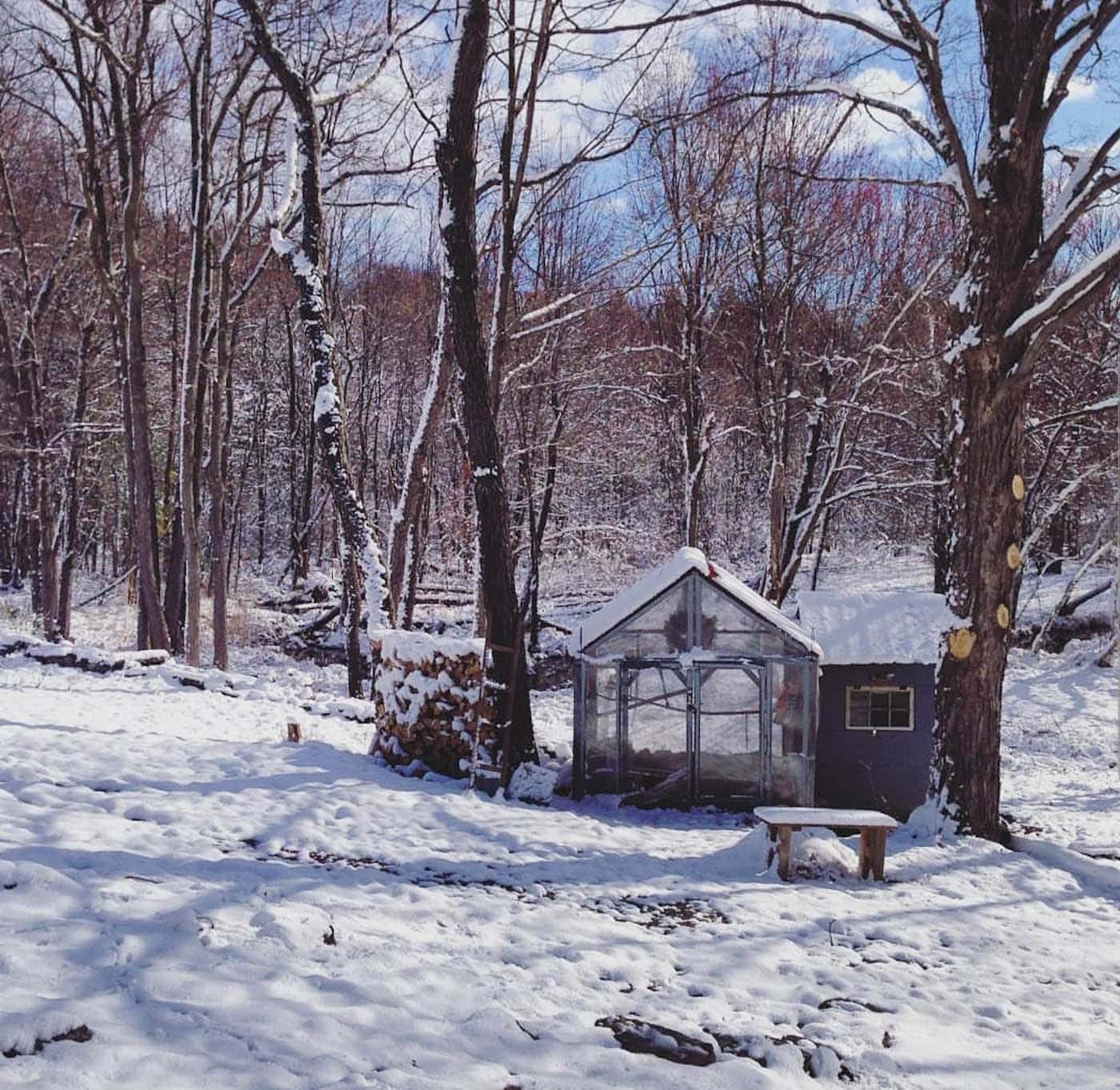 a small chicken coop in a winter setting with snow on the ground and bare trees around it