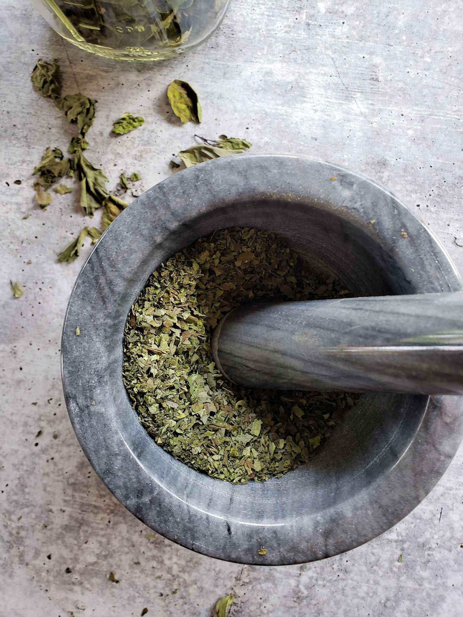 Preserving Basil: How to Dry Basil in a Dehydrator or Oven | LaptrinhX