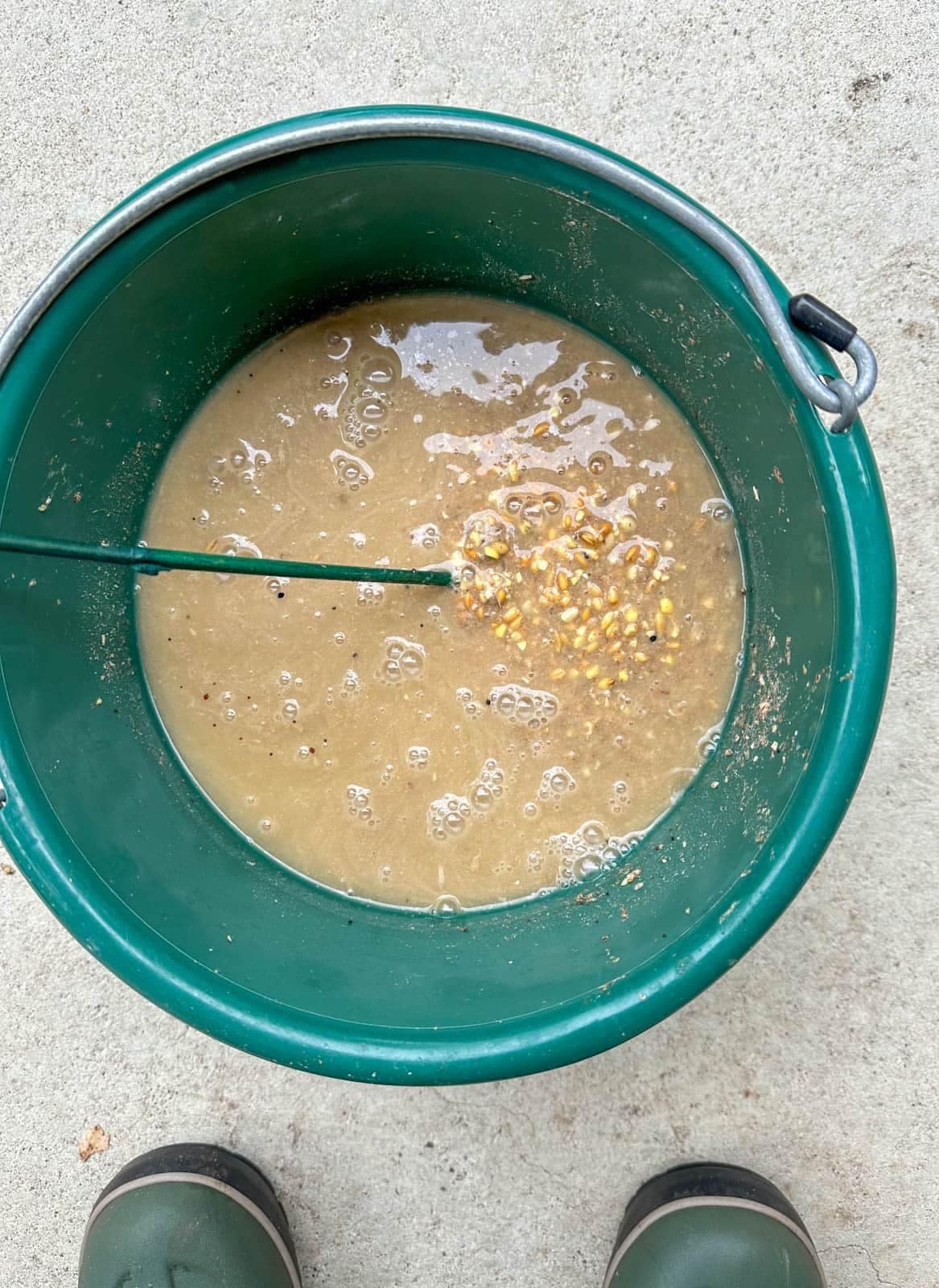 A small green bucket filled with water and chicken feed to create fermented feed. Some bubbles are forming in the mixture.