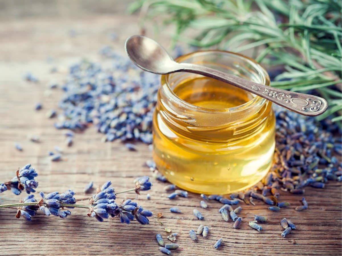 How to Make Homemade Lavender Oil: Easy Step-by-Step Guide ~ Homestead and  Chill