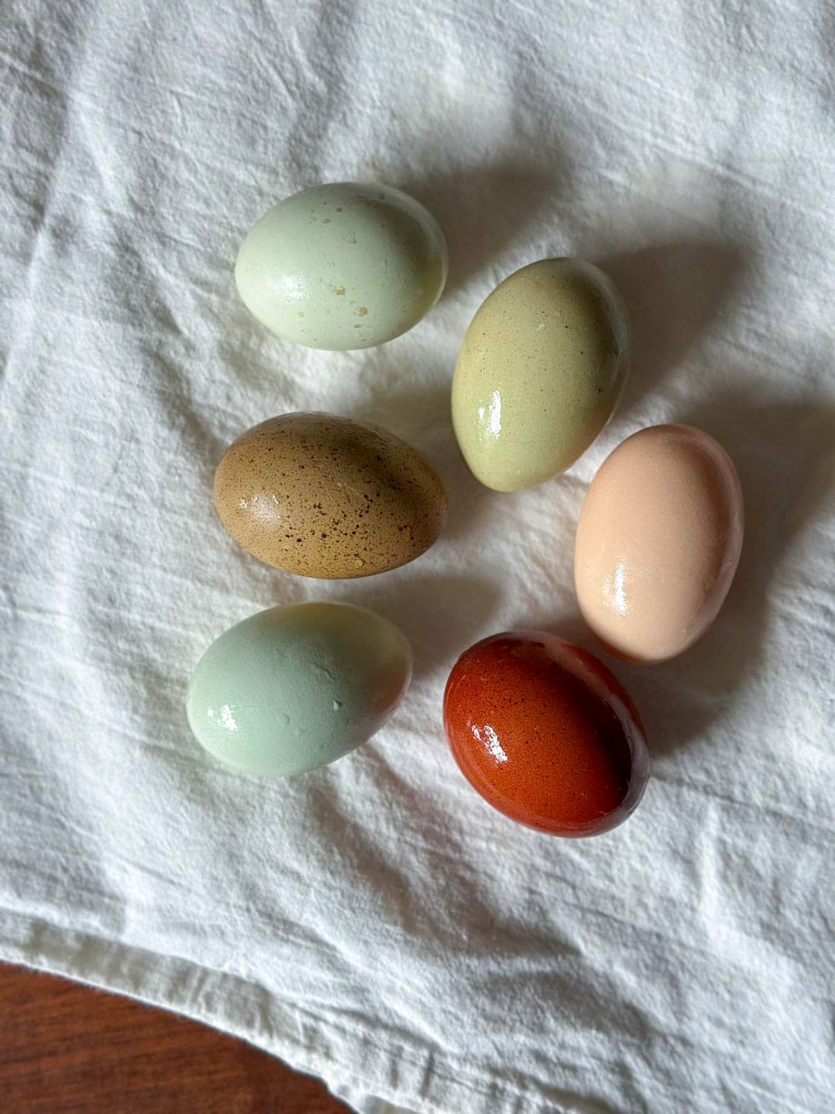 Six eggs that have been washed are drying on a white tea towel, their wetness is glistening in the light.