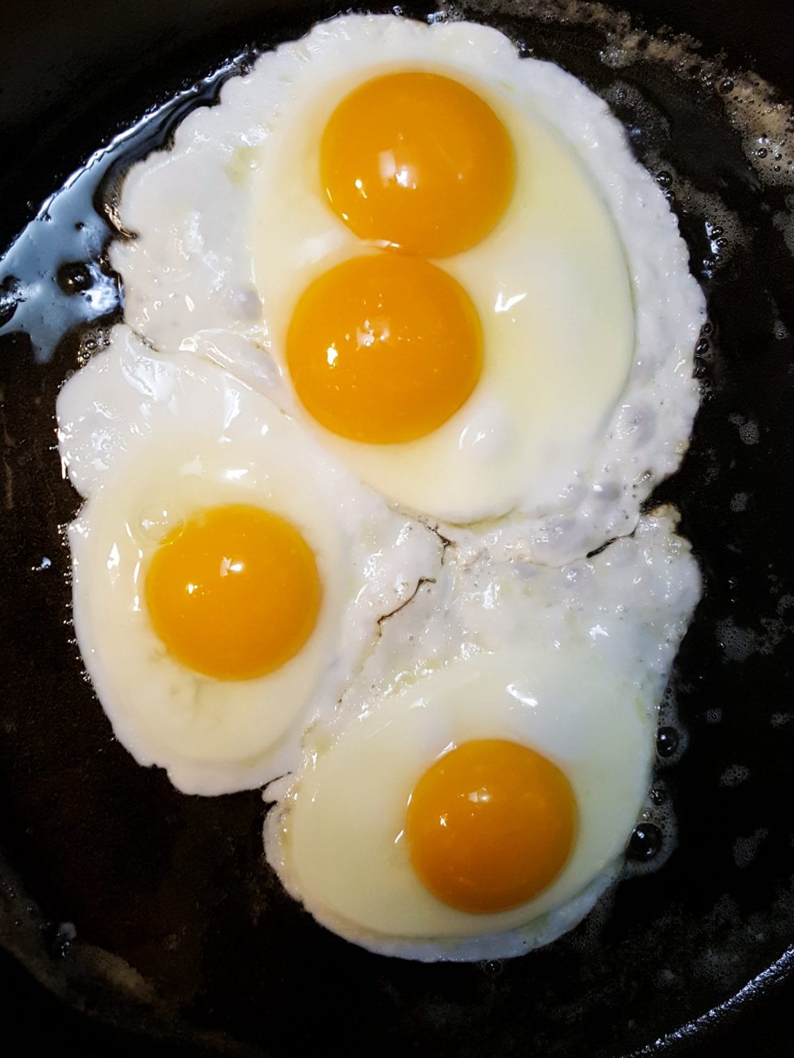 How to Store & Wash Fresh Eggs Best Practices for Backyard Chicken Eggs Homestead and Chill