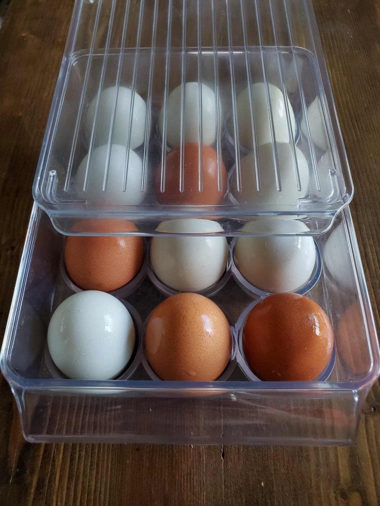 How to Store & Wash Fresh Eggs Best Practices for Backyard Chicken