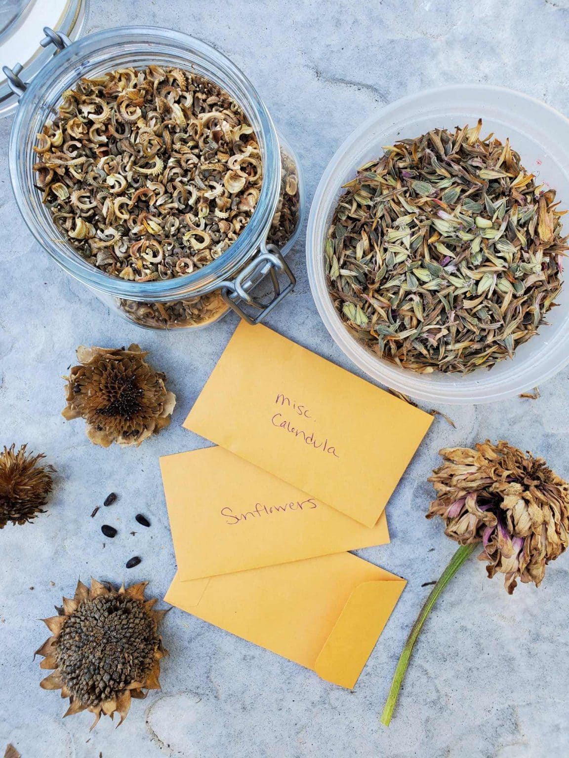 SeedSaving 101 How to Save Seeds from Annual Flowers Homestead and Chill