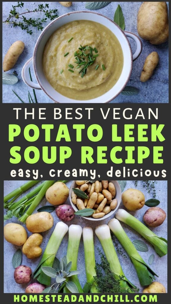 The Best Creamy Vegan Potato Leek Soup Recipe