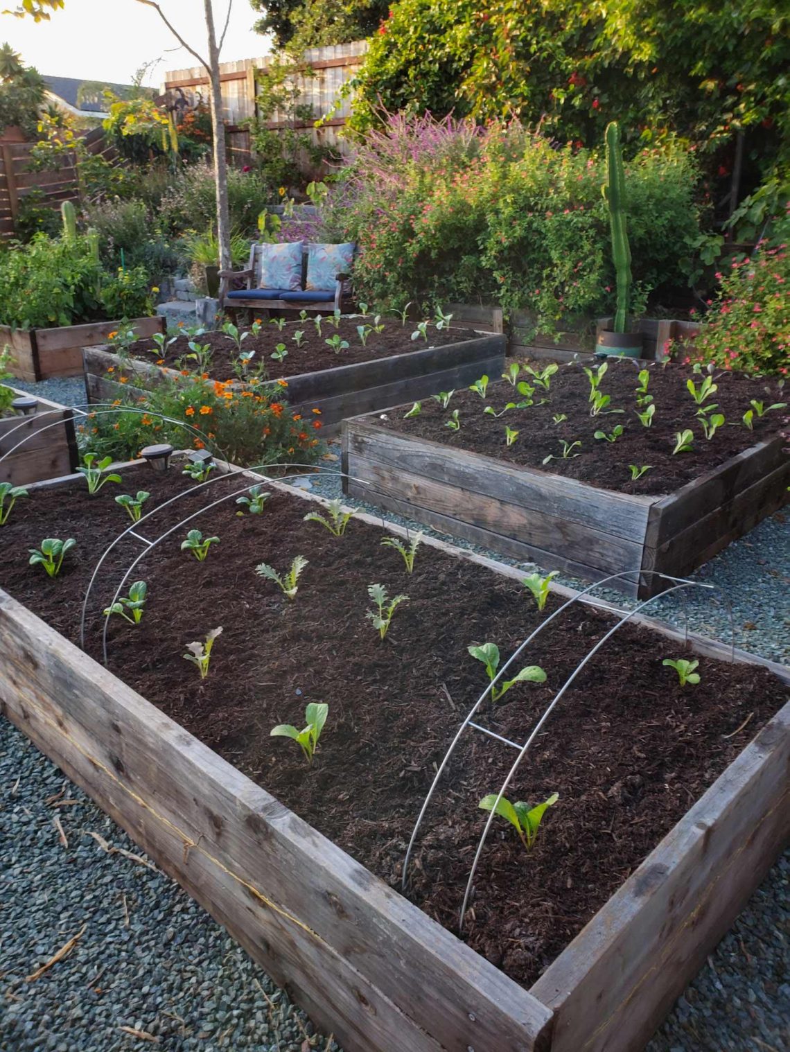 Mulching 101 When, Why & How to Mulch Your Garden Homestead and Chill
