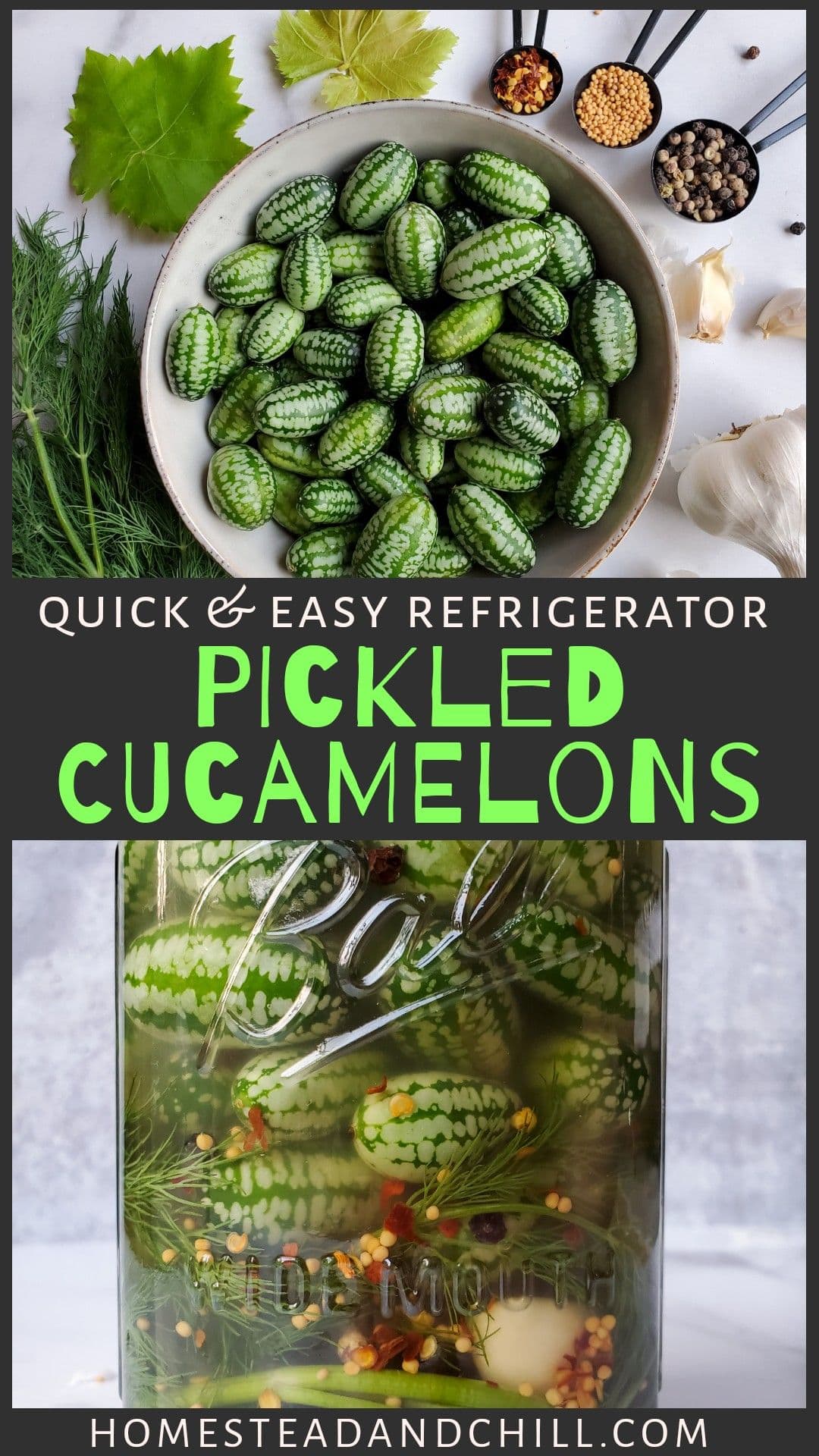 Pickled Cucamelons (Sour Gherkins) Easy Refrigerator Pickles