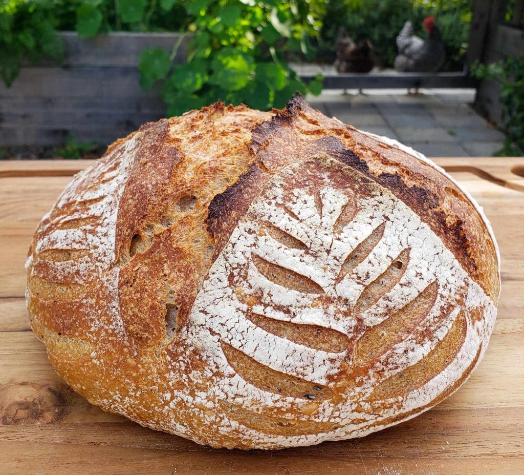 Why Sourdough is Healthier Than Other Bread (& Has Less Gluten