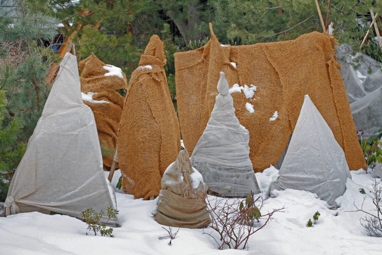 7 Ways to Protect Plants From Frost Fabric Garden Bed Covers and More