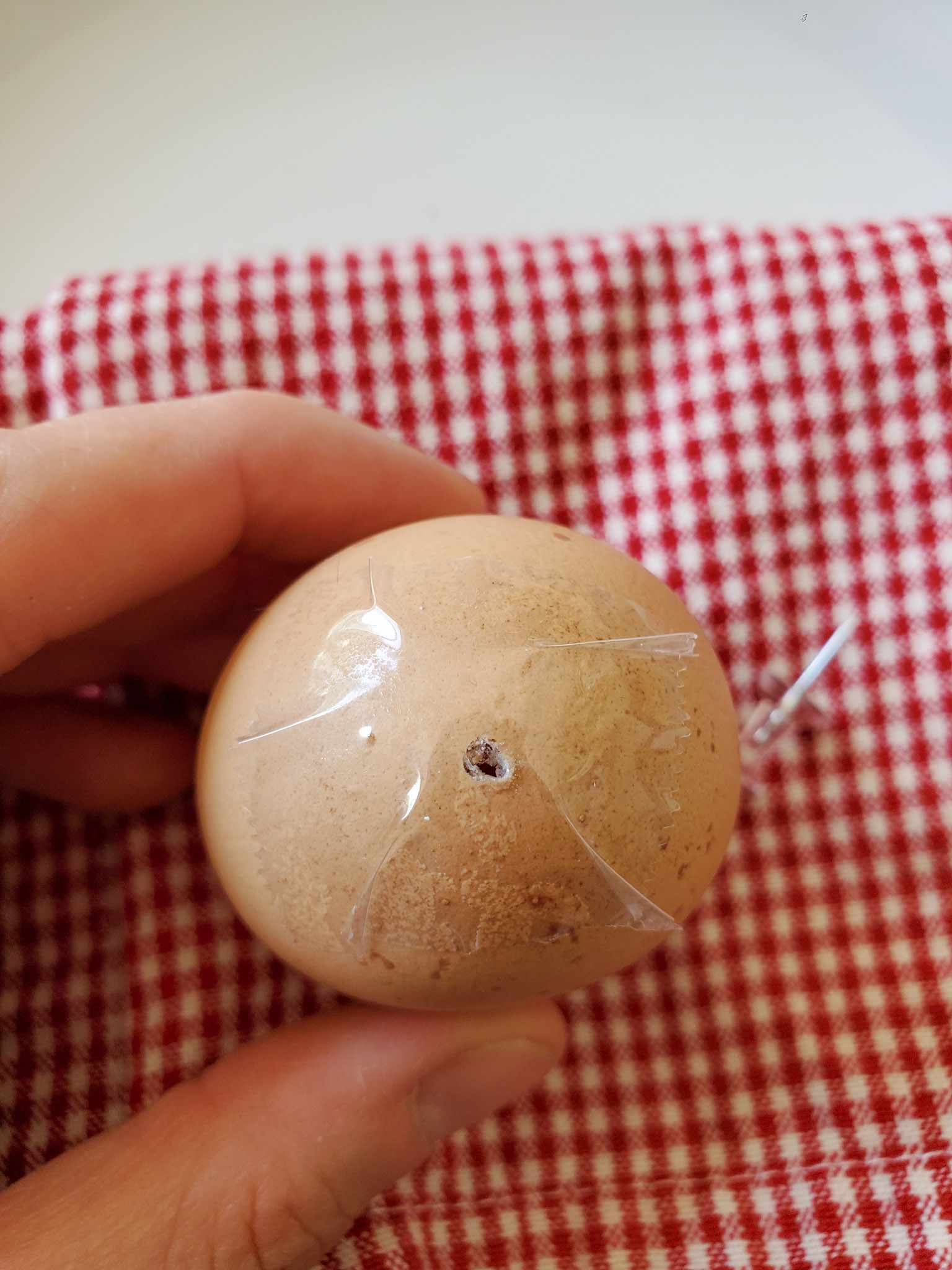 How to Make Blown Egg Ornaments Homestead and Chill